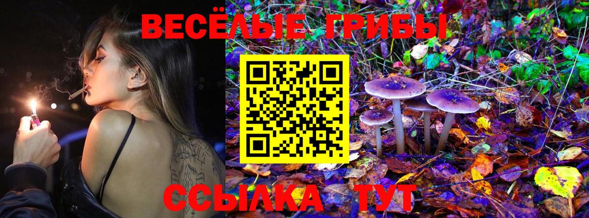Холмск  Псилоцибиновые грибы мухоморы  Галлюциногенные грибы Cubensis  Вход с VPN 